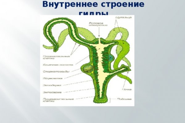 Ссылка на кракен тор магазин